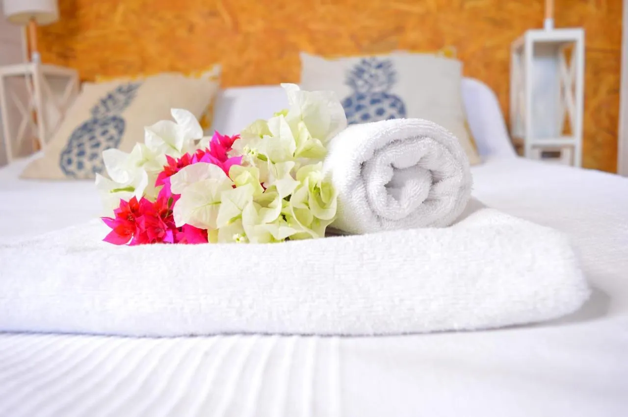 Brise Marine Aparthotel Sainte-Luce